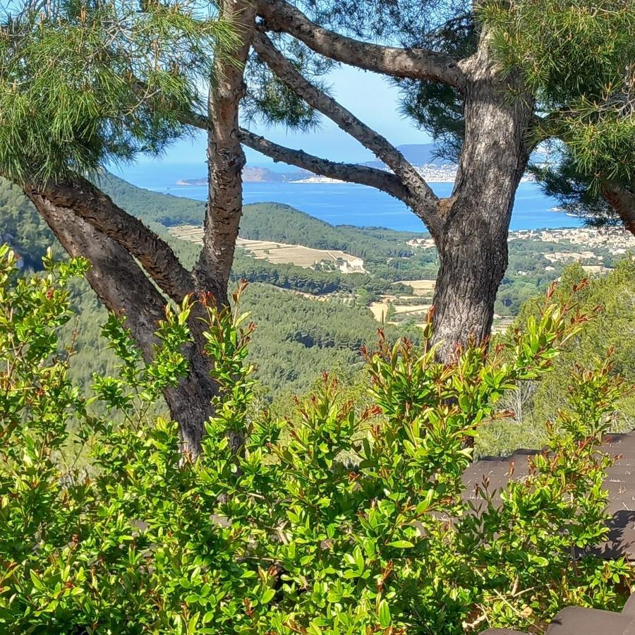 La Villa Entre Terre Et Mer Saint-Côme Buitenkant foto